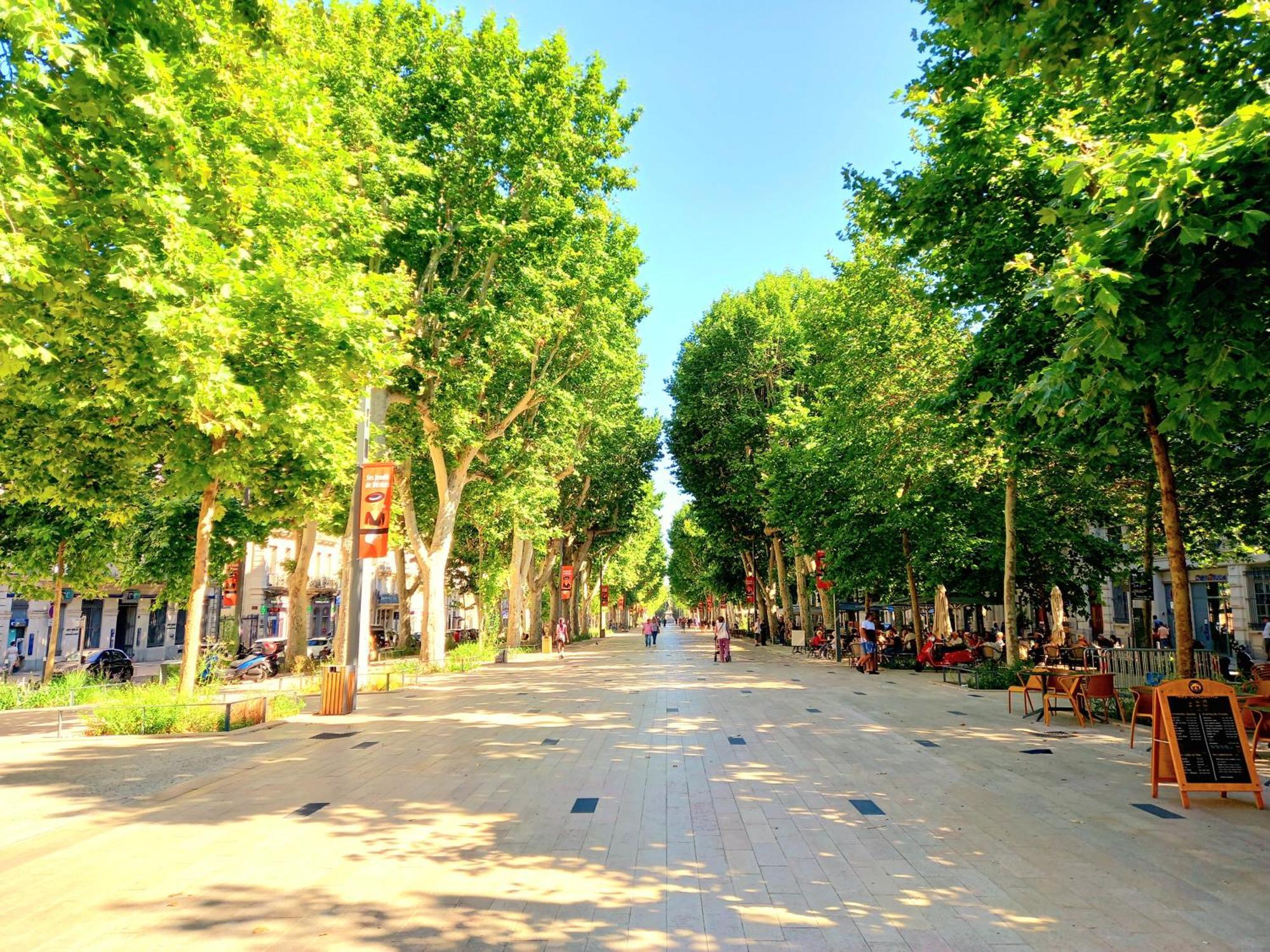 T3 Aqui Es Besiers - Centre-Historique - Cathedrale & Halles - Clim - Wifi - Free Parking Sur Demande Béziers Zewnętrze zdjęcie